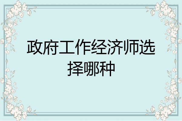 政府工作经济师选择哪种