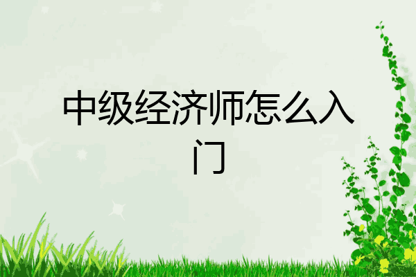 中级经济师怎么入门