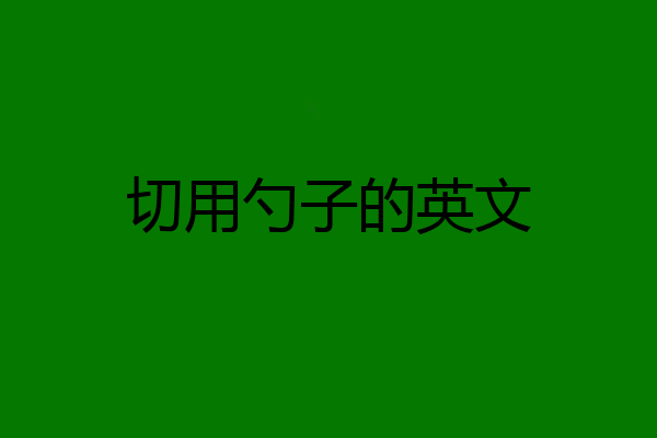 切用勺子的英文