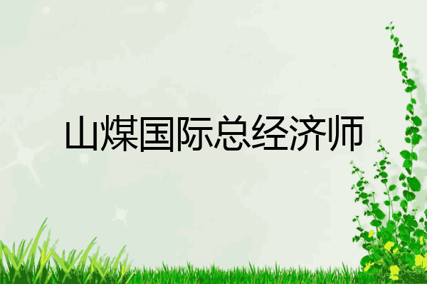山煤国际总经济师