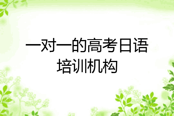 一对一的高考日语培训机构