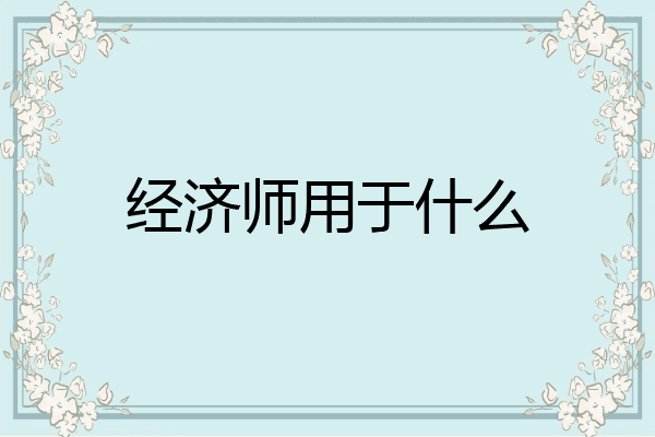 经济师用于什么