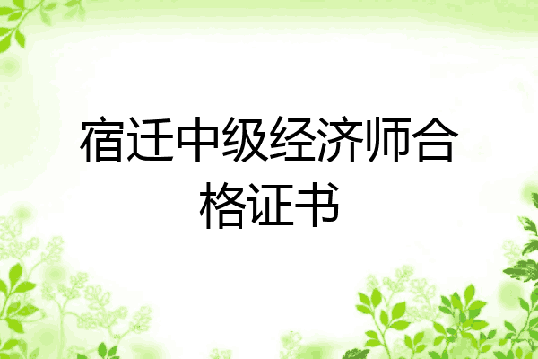 宿迁中级经济师合格证书