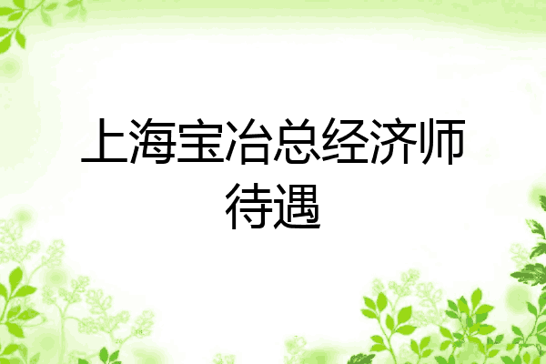 上海宝冶总经济师待遇
