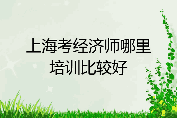 上海考经济师哪里培训比较好