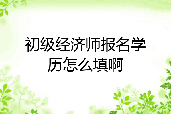 初级经济师报名学历怎么填啊