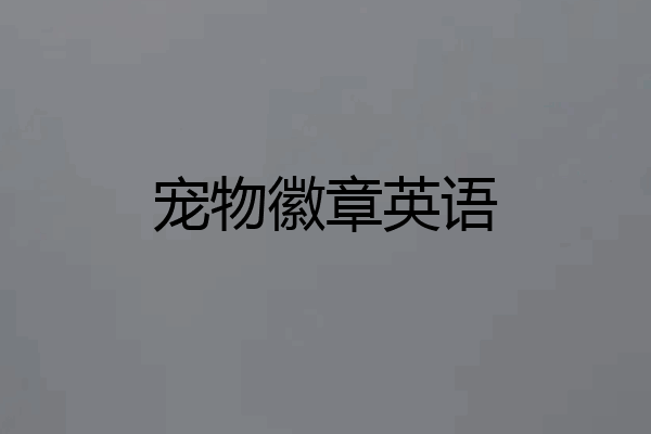 宠物徽章英语