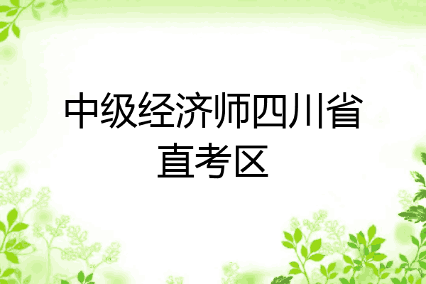 中级经济师四川省直考区
