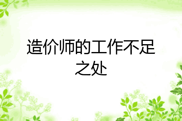 造价师的工作不足之处