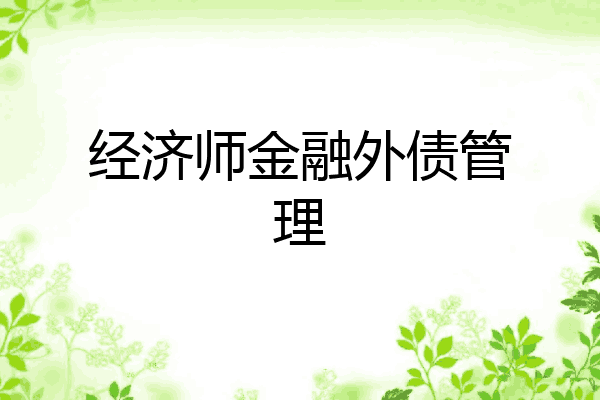 经济师金融外债管理