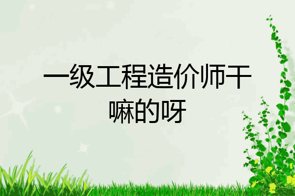 一级工程造价师干嘛的呀