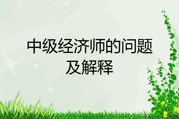 中级经济师的问题及解释