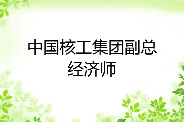中国核工集团副总经济师