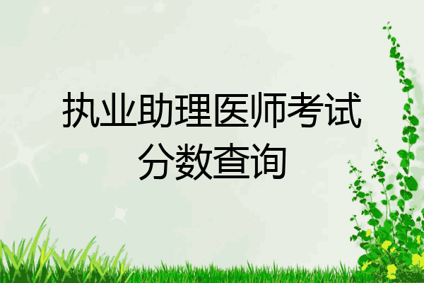 执业助理医师考试分数查询