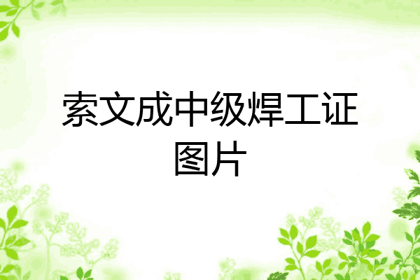 索文成中级焊工证图片