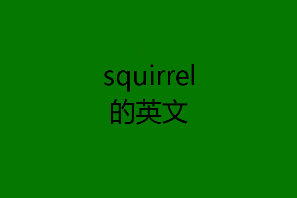 squirrel的英文