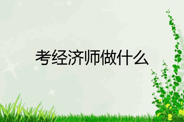 考经济师做什么