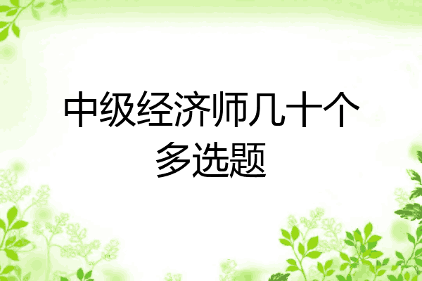 中级经济师几十个多选题