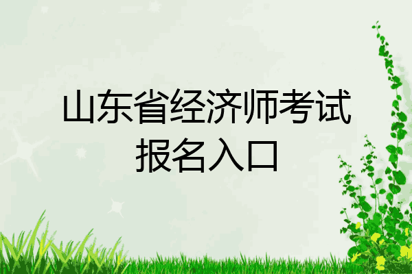 山东省经济师考试报名入口