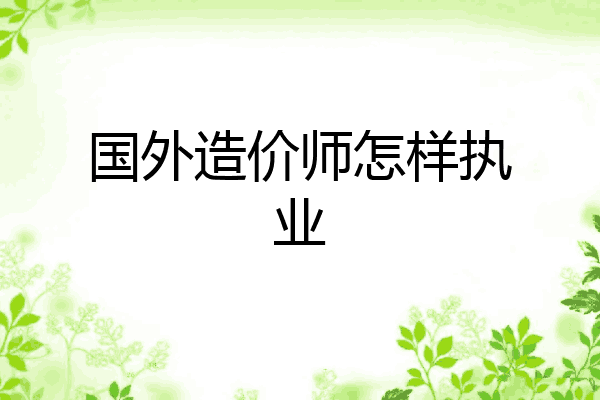 国外造价师怎样执业
