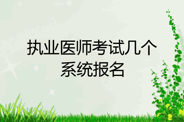 执业医师考试几个系统报名