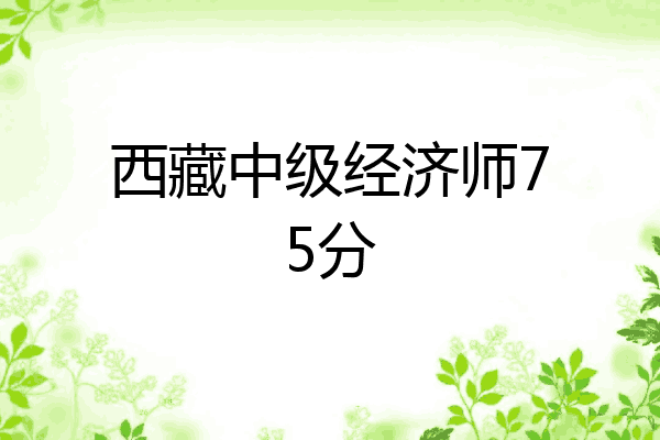 西藏中级经济师75分