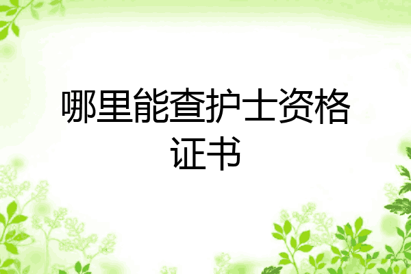 哪里能查护士资格证书