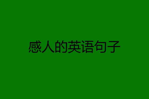 感人的英语句子