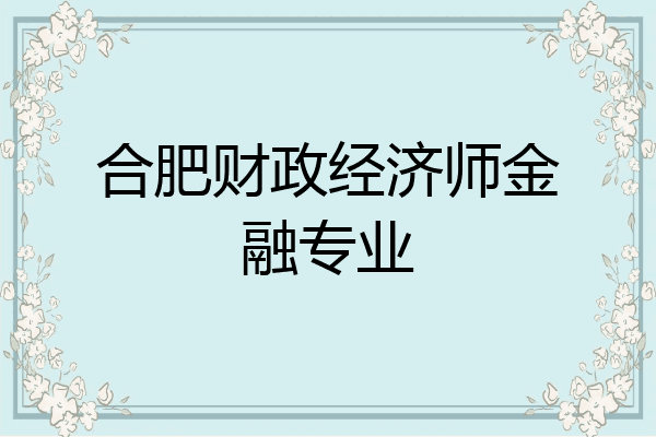 合肥财政经济师金融专业