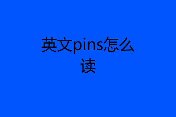 英文pins怎么读