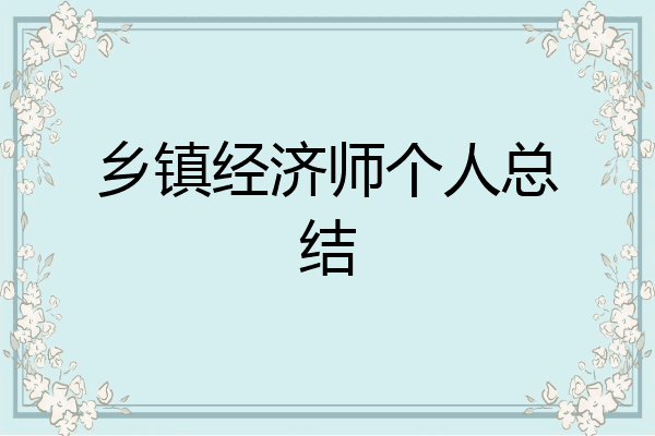 乡镇经济师个人总结