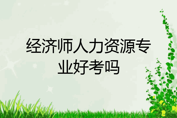 经济师人力资源专业好考吗