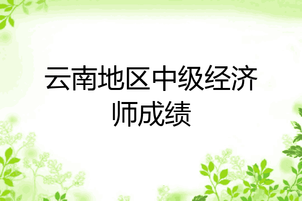 云南地区中级经济师成绩