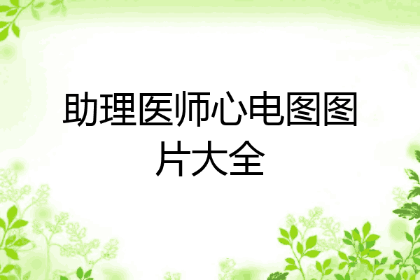 助理医师心电图图片大全