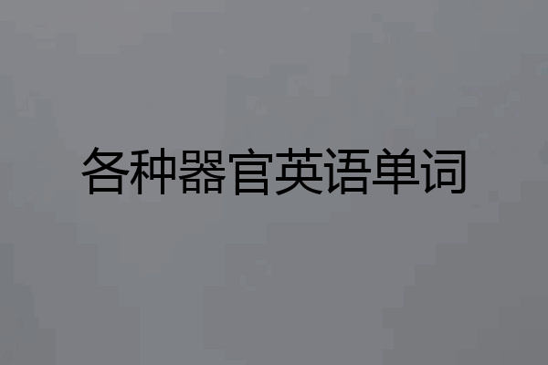 各种器官英语单词