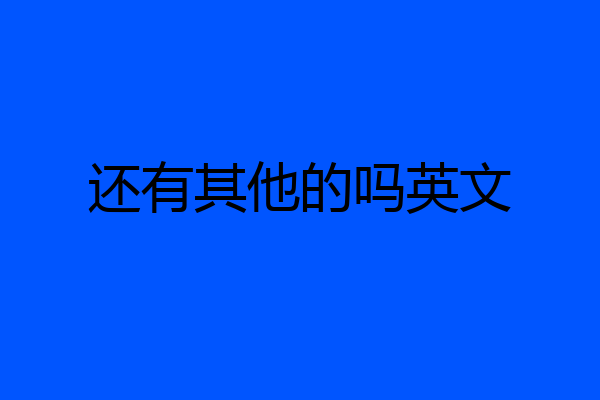 还有其他的吗英文