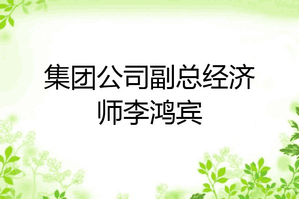 集团公司副总经济师李鸿宾