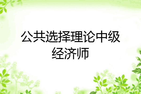公共选择理论中级经济师