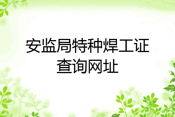 安监局特种焊工证查询网址
