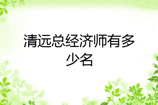 清远总经济师有多少名