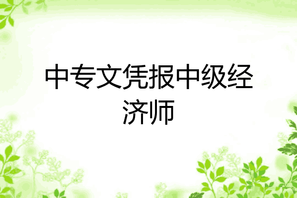 中专文凭报中级经济师