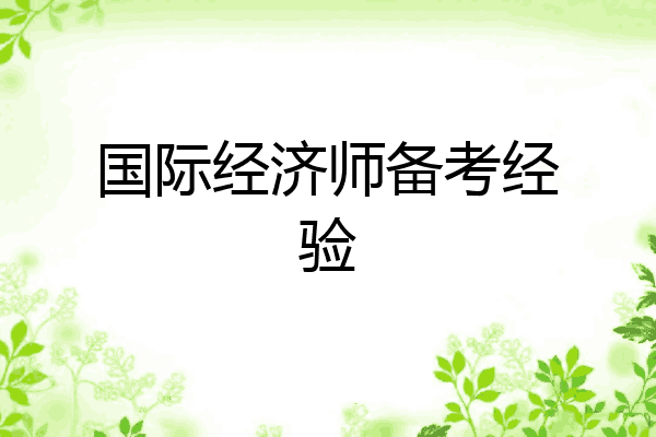 国际经济师备考经验