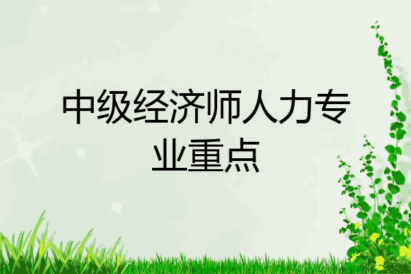 中级经济师人力专业重点