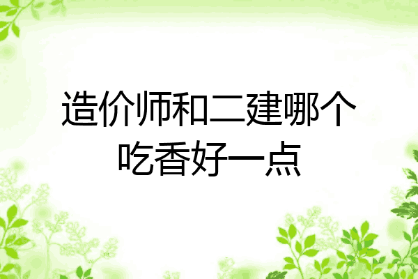 造价师和二建哪个吃香好一点