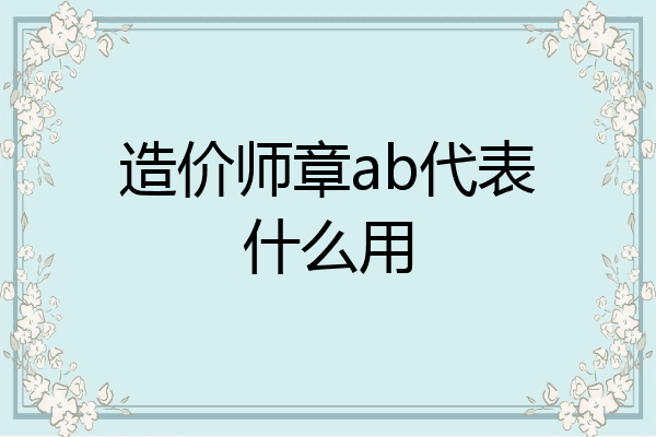 造价师章ab代表什么用