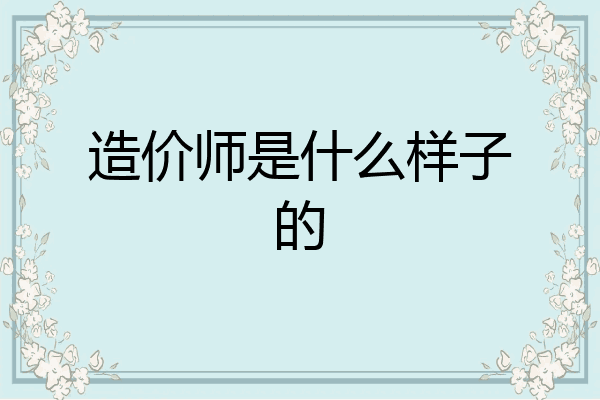 造价师是什么样子的