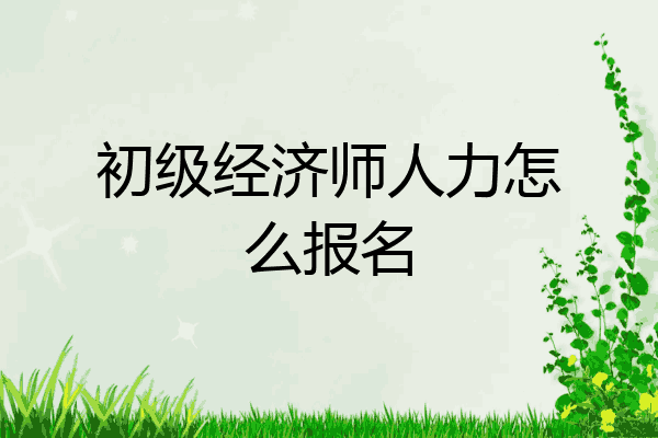 初级经济师人力怎么报名