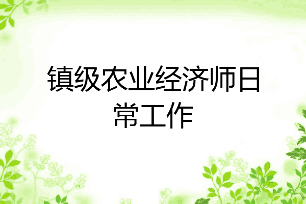 镇级农业经济师日常工作