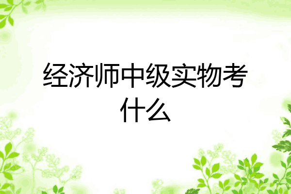 经济师中级实物考什么
