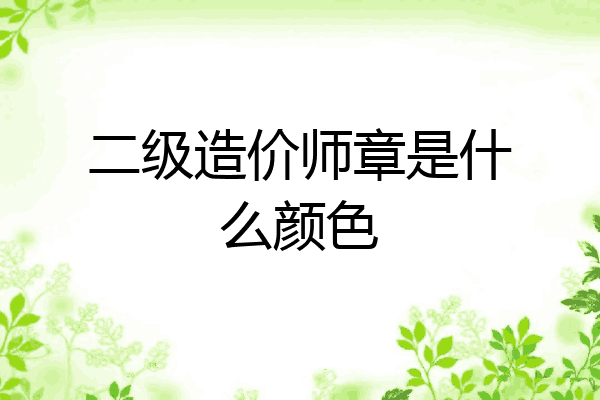二级造价师章是什么颜色